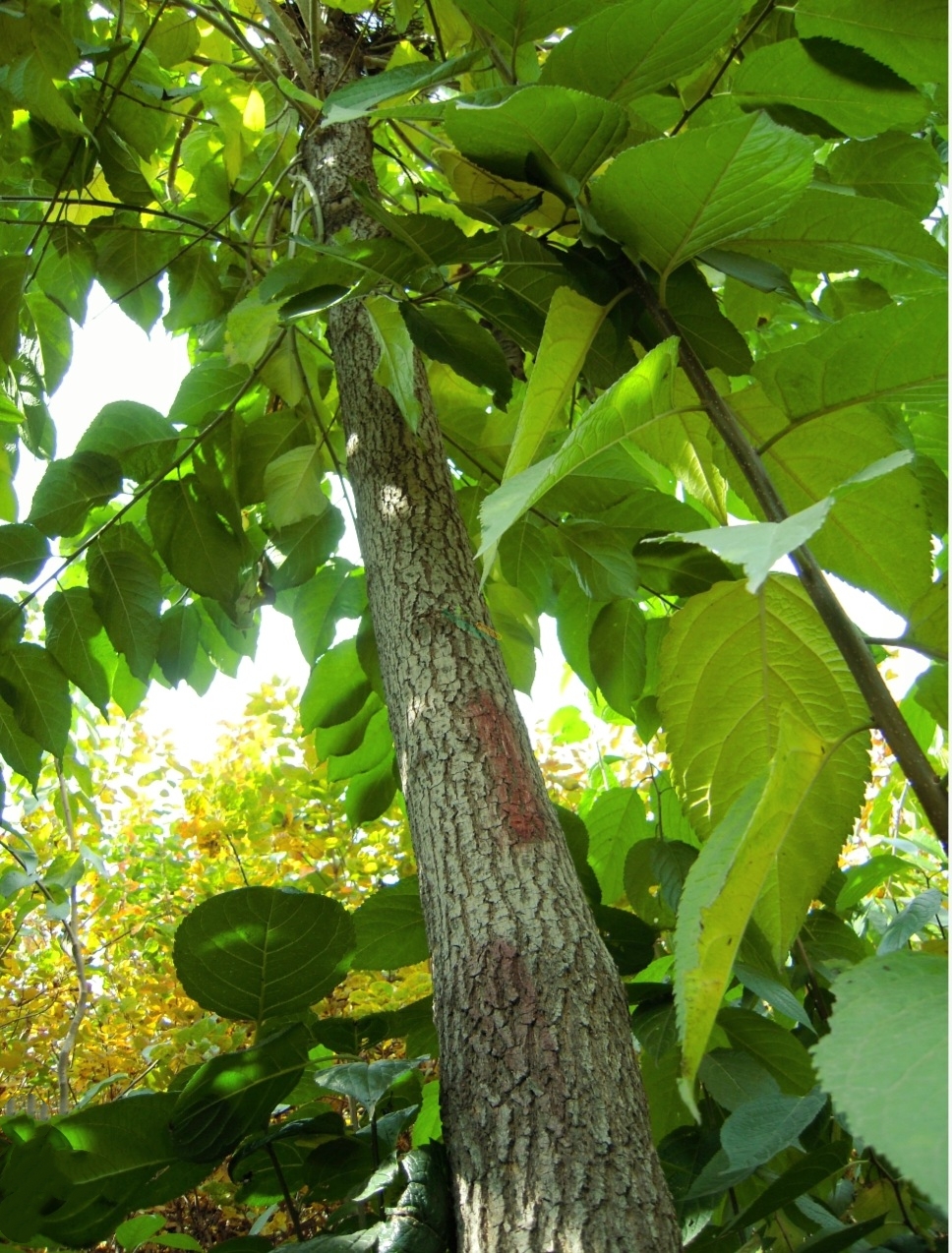 MEITU_20250503_002448033