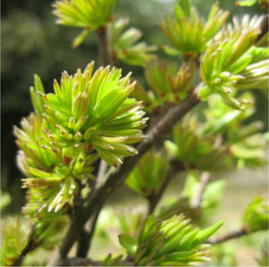 MEITU_20250503_003146395