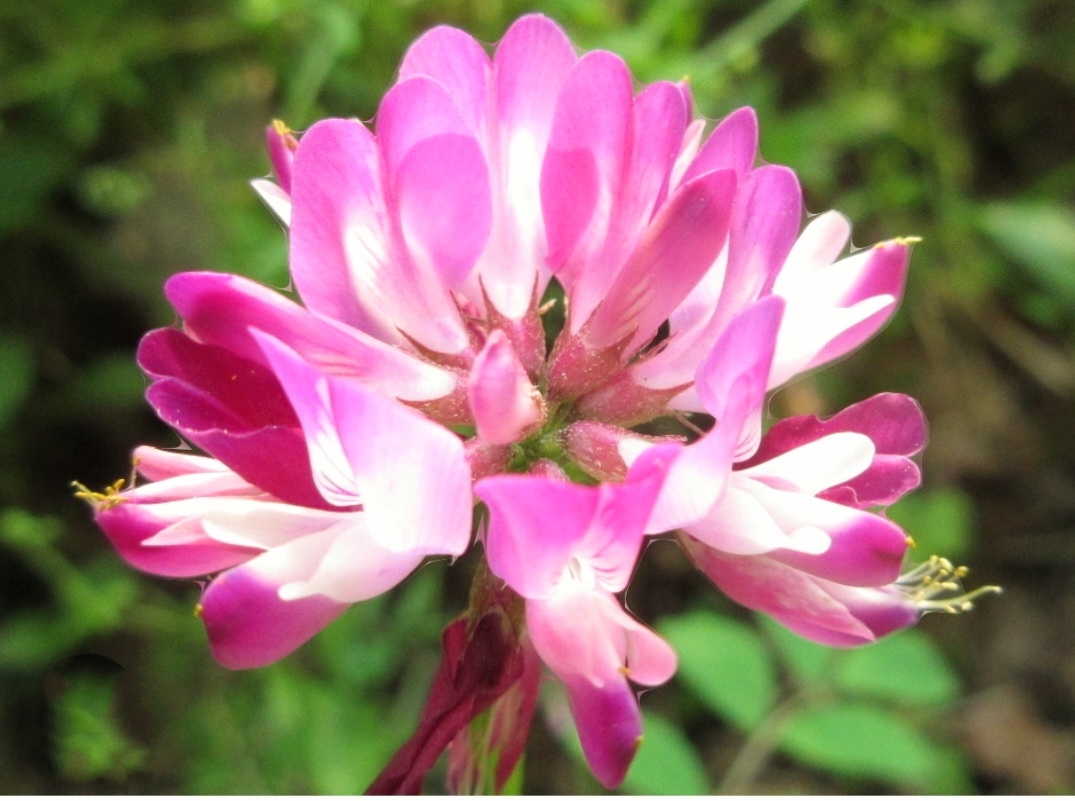 MEITU_20250505_220818608