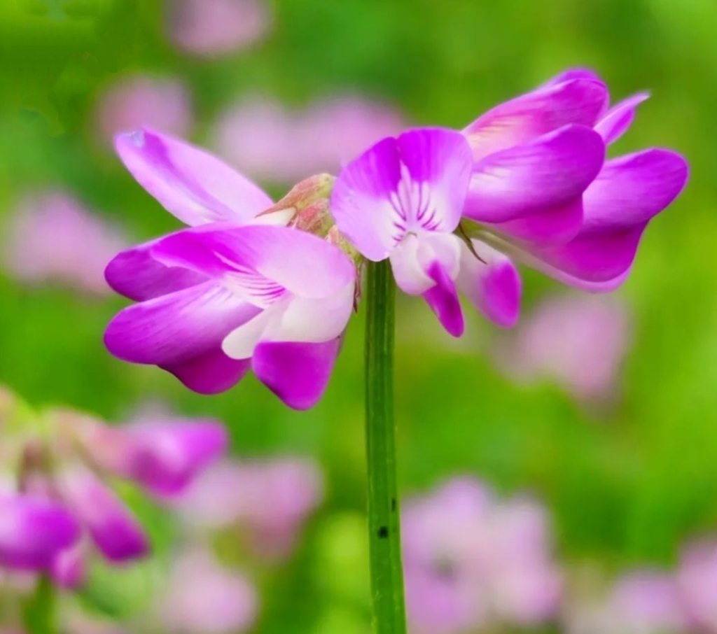 MEITU_20250505_220855961