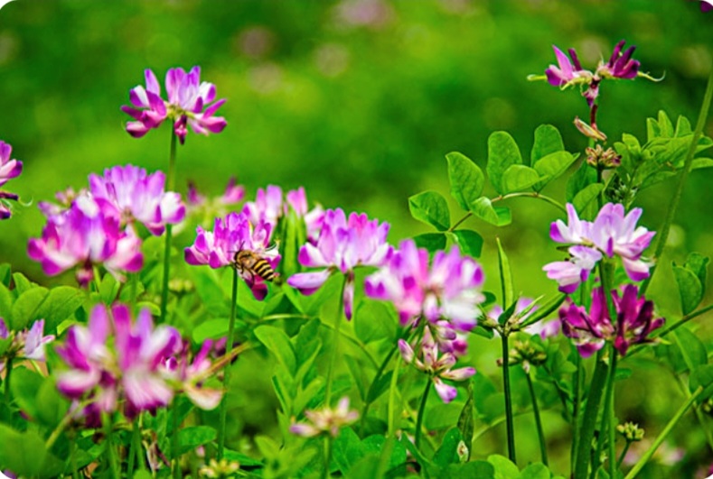 Screenshot_20250224-235520_Chrome