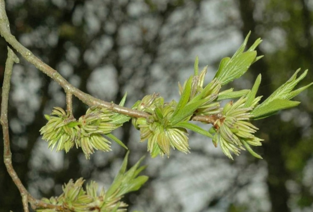 Screenshot_20250428-002054_Etsy