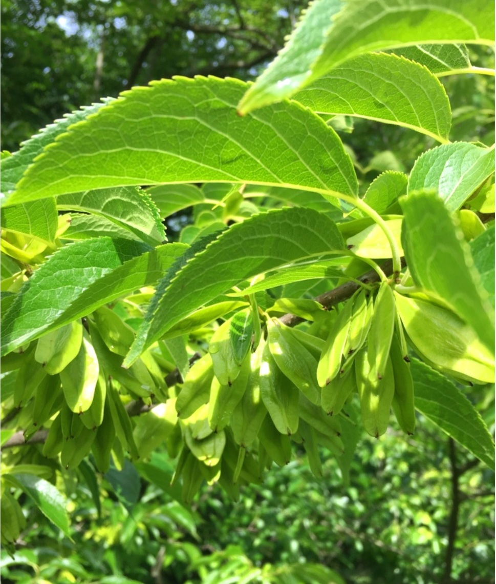 Screenshot_20250503-000437_Google